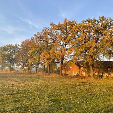 Eichenhof Hotel Garni Groß Köris Екстериор снимка