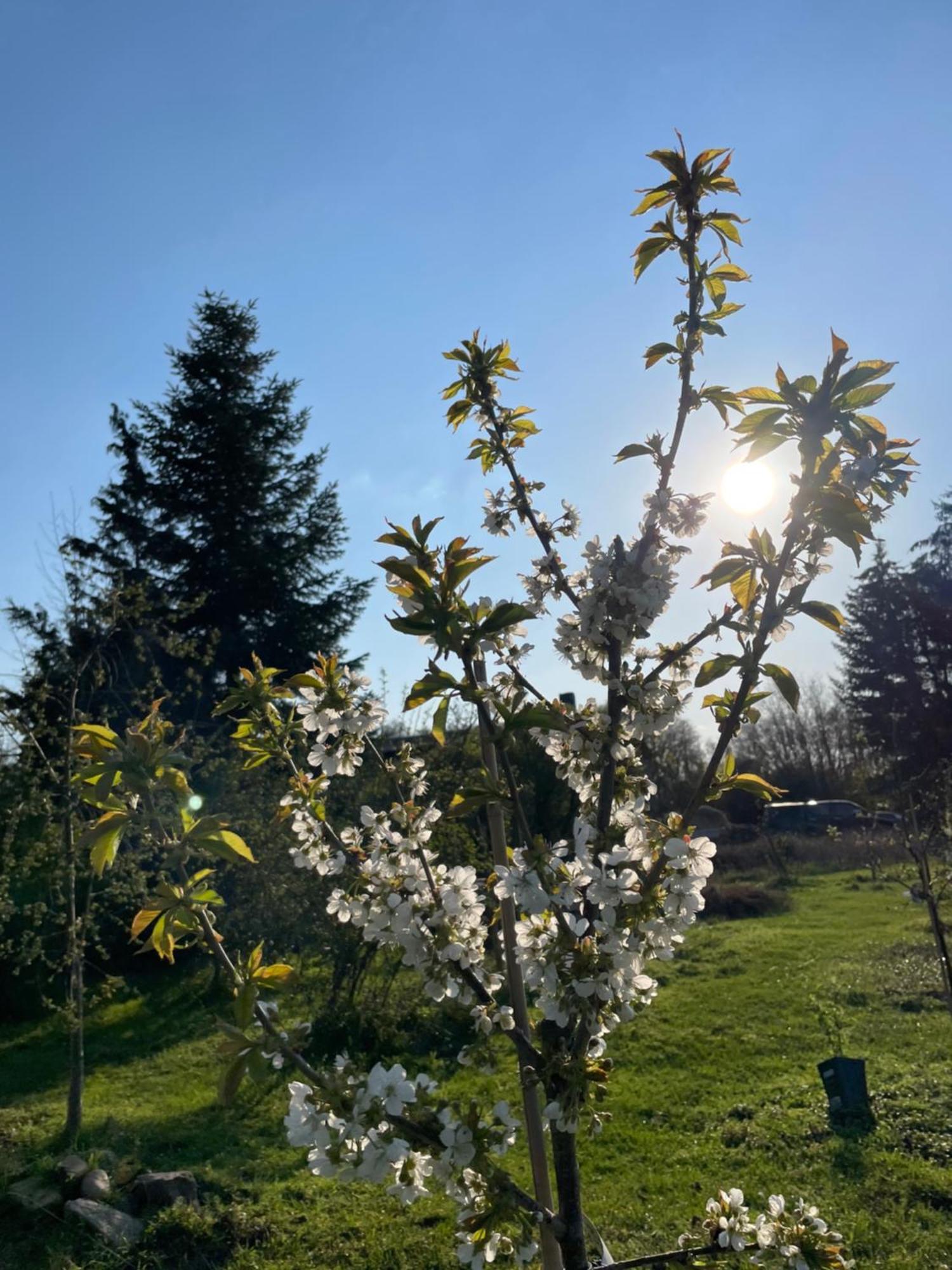 Eichenhof Hotel Garni Groß Köris Екстериор снимка